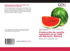 Capa do livro de Producción de sandía injertada en el valle de Mexicali, México 