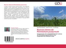 Bookcover of Nuevos clones de Pennisetum purpureum