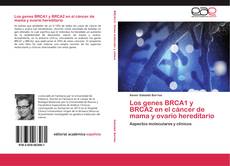 Borítókép a  Los genes BRCA1 y BRCA2 en el cáncer de mama y ovario hereditario - hoz