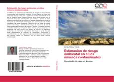 Copertina di Estimación de riesgo ambiental en sitios mineros contaminados