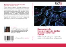 Buchcover von Mecanismo de Incorporación de ácidos grasos en el núcleo celular