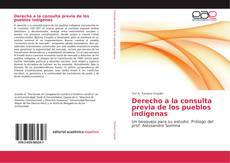Bookcover of Derecho a la consulta previa de los pueblos indígenas