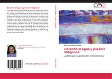 Bookcover of Derecho al agua y pueblos indígenas: