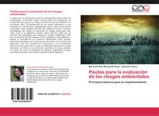 Portada del libro de Pautas para la evaluación de los riesgos ambientales