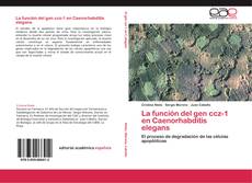 Capa do livro de La función del gen ccz-1 en Caenorhabditis elegans 