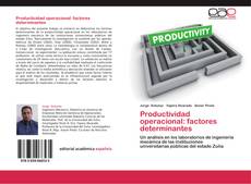 Bookcover of Productividad operacional: factores determinantes