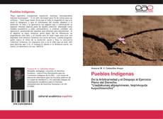 Pueblos Indígenas kitap kapağı