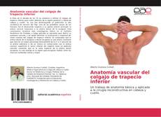 Bookcover of Anatomía vascular del colgajo de trapecio inferior