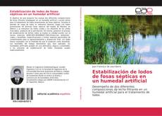 Bookcover of Estabilización de lodos de fosas sépticas en un humedal artificial