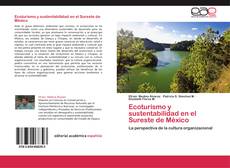 Ecoturismo y sustentabilidad en el Sureste de México kitap kapağı
