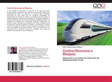 Control Neuronal a Bloques kitap kapağı