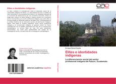 Elites e identidades indígenas kitap kapağı