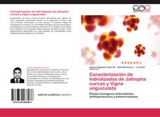 Caracterización de hidrolizados de Jatropha curcas y Vigna unguiculata kitap kapağı
