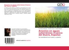 Ársenico en aguas suterráneas (Cuenca del Duero, España) kitap kapağı