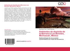 Ambientes de depósito de la Barranca Los Bonetes, Michoacán, México kitap kapağı