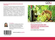 Copertina di Caracterización del sistema de producción vitivinícola