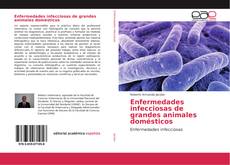 Bookcover of Enfermedades infecciosas de grandes animales domésticos