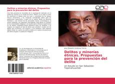 Capa do livro de Delitos y minorías étnicas. Propuestas para la prevención del delito 