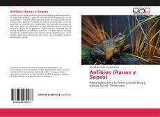 Capa do livro de Anfibios (Ranas y Sapos) 