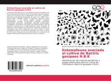 Portada del libro de Entomofauna asociada al cultivo de Bactris gasipaes H.B.K