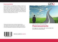 Bookcover of Posicionamiento