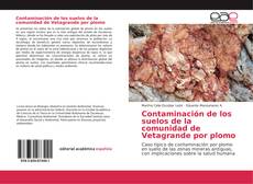 Copertina di Contaminación de los suelos de la comunidad de Vetagrande por plomo