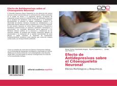 Bookcover of Efecto de Antidepresivos sobre el Citoesqueleto Neuronal