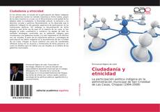 Bookcover of Ciudadanía y etnicidad