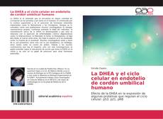 La DHEA y el ciclo celular en endotelio de cordón umbilical humano kitap kapağı