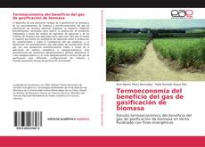Portada del libro de Termoeconomía del beneficio del gas de gasificación de biomasa