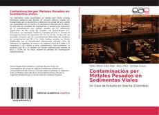 Buchcover von Contaminación por Metales Pesados en Sedimentos Viales
