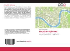 Copertina di Líquido Spinoza