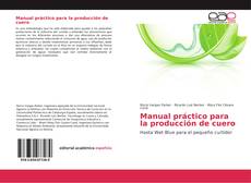 Capa do livro de Manual práctico para la producción de cuero 