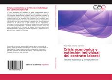 Buchcover von Crisis económica y extinción individual del contrato laboral