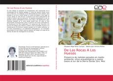 Bookcover of De Las Rocas A Los Huesos