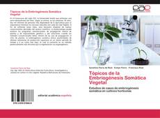 Copertina di Tópicos de la Embriogénesis Somática Vegetal