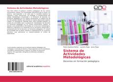 Bookcover of Sistema de Actividades Metodológicas