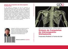 Buchcover von Síntesis de Compósitos de Hidroxiapatita-Wollastonita