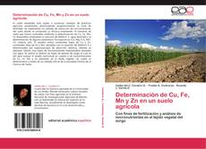 Bookcover of Determinación de Cu, Fe, Mn y Zn en un suelo agrícola