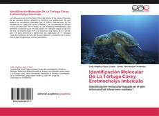 Обложка Identificación Molecular De La Tortuga Carey Eretmochelys Imbricata