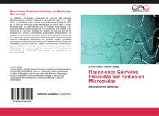 Buchcover von Reacciones Químicas Inducidas por Radiación Microondas