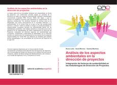 Bookcover of Análisis de los aspectos ambientales en la dirección de proyectos