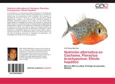 Capa do livro de Nutrición alternativa en Cachama, Piaractus brachypomus: Efecto hepático 