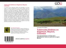 Bookcover of Tubérculos Andinos en Sugamuxi, Boyacá, Colombia