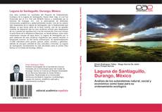 Bookcover of Laguna de Santiaguillo, Durango, México