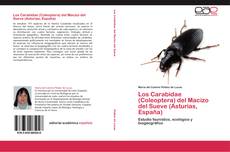 Los Carabidae (Coleoptera) del Macizo del Sueve (Asturias, España) kitap kapağı