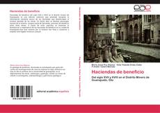 Bookcover of Haciendas de beneficio