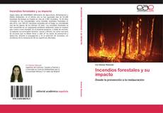 Incendios forestales y su impacto kitap kapağı