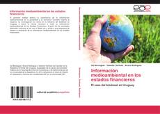 Borítókép a  Información medioambiental en los estados financieros - hoz