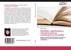 Bookcover of Sentidos, significados y vivencias que se construyen en la familia
